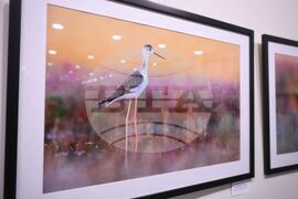 Бургас - Бургаска фотографска общност - годишна изложба