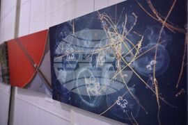 Бургас - Бургаска фотографска общност - годишна изложба