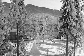 На почивка през зимата в Боровец