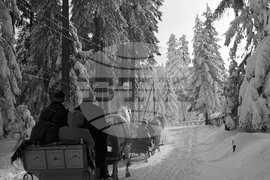 На почивка през зимата в Боровец