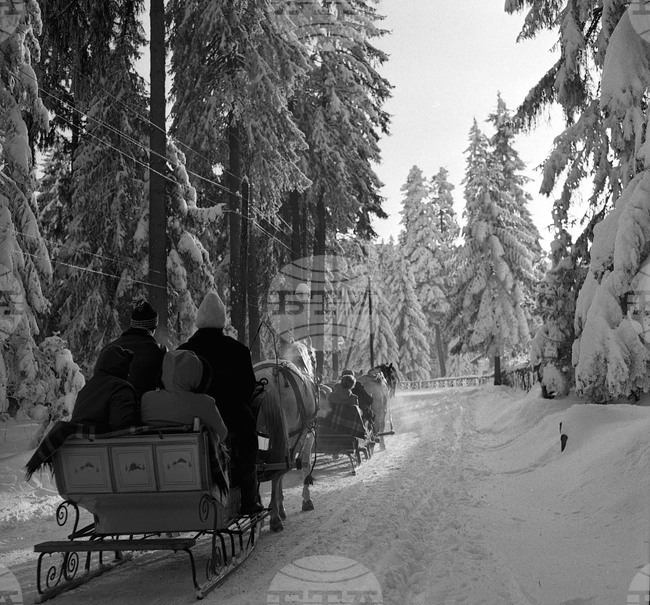 На почивка през зимата в Боровец