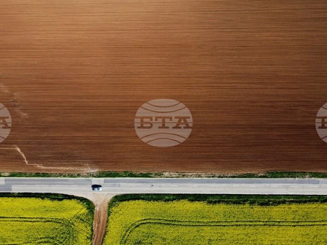 НСИ отчита забавяне на спада в създадената брутна добавена стойност в селското стопанство на България през 2024 г. на годишна база