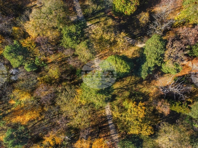 Столичната община възпрепятства началото на работата по стопанисването на парк „Врана”, заявяват от областната администрация