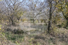 Село Щръклево - панихида