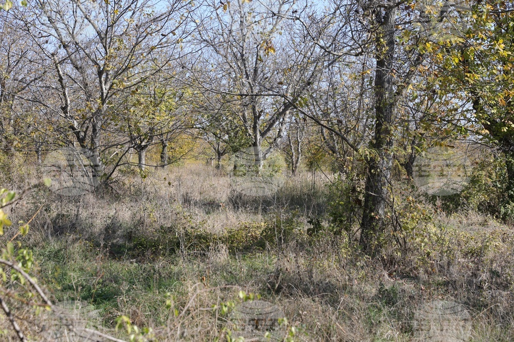 Село Щръклево - панихида