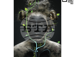  Плакат, дело на българка, живееща в Чехия, е част от „Osaka Poster Fest 2024“, който ще бъде представен като физическа изложба между 2 и 6 декември 2024 г. в японския град Осака. 