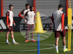 Germany Soccer Champions League