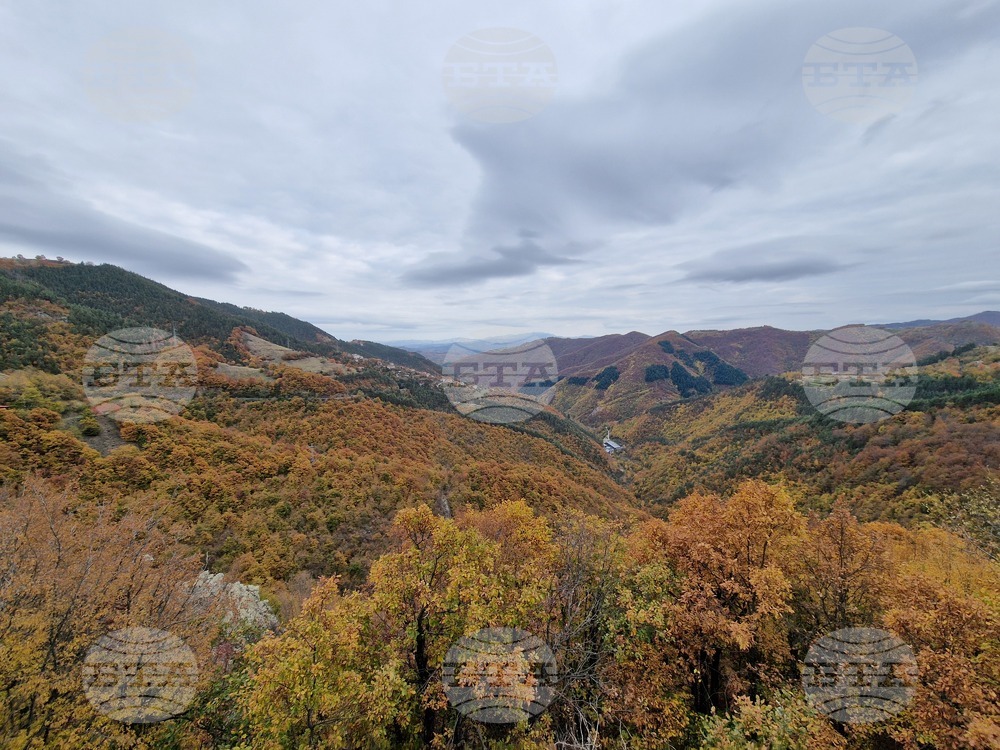 The Weather on November 6