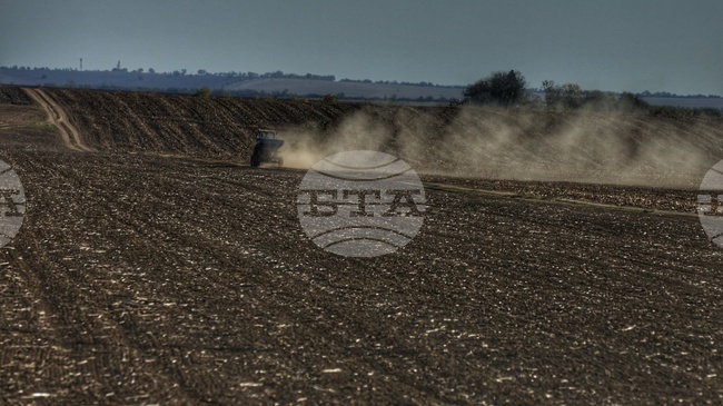 Близо 600 млн. лева получиха земеделците по базовото плащане на площ за Кампания 2025