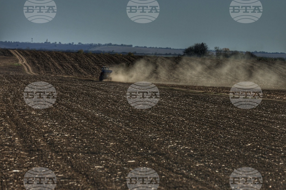 Близо 600 млн. лева получиха земеделците по базовото плащане на площ за Кампания 2025