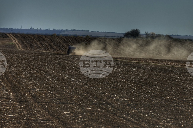 Близо 600 млн. лева получиха земеделците по базовото плащане на площ за Кампания 2025