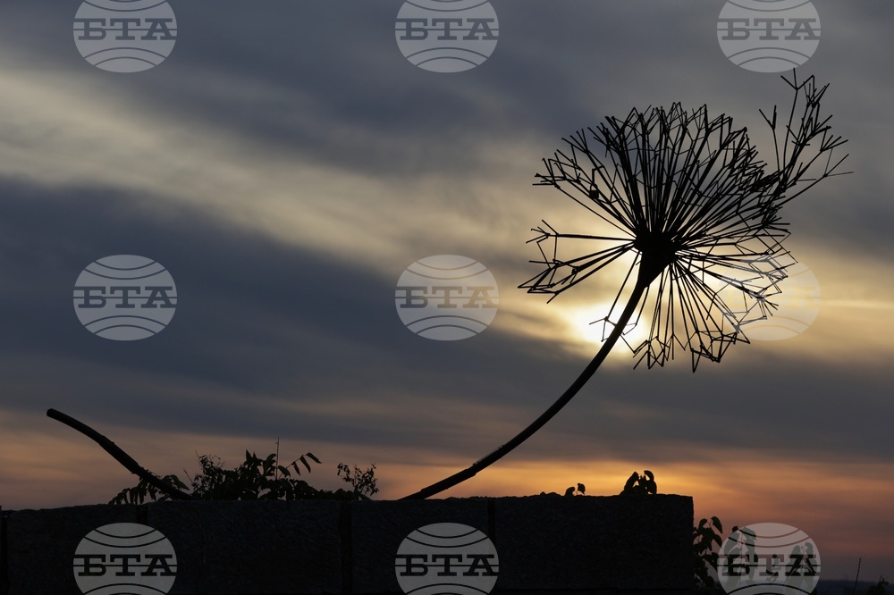 Прогноза за времето