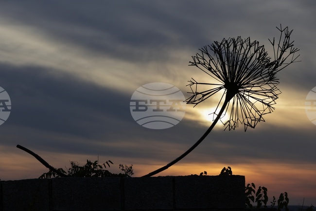 Прогноза за времето