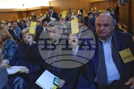 НДСВ - девети редовен конгрес