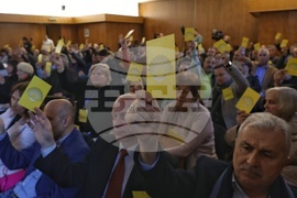 НДСВ - девети редовен конгрес