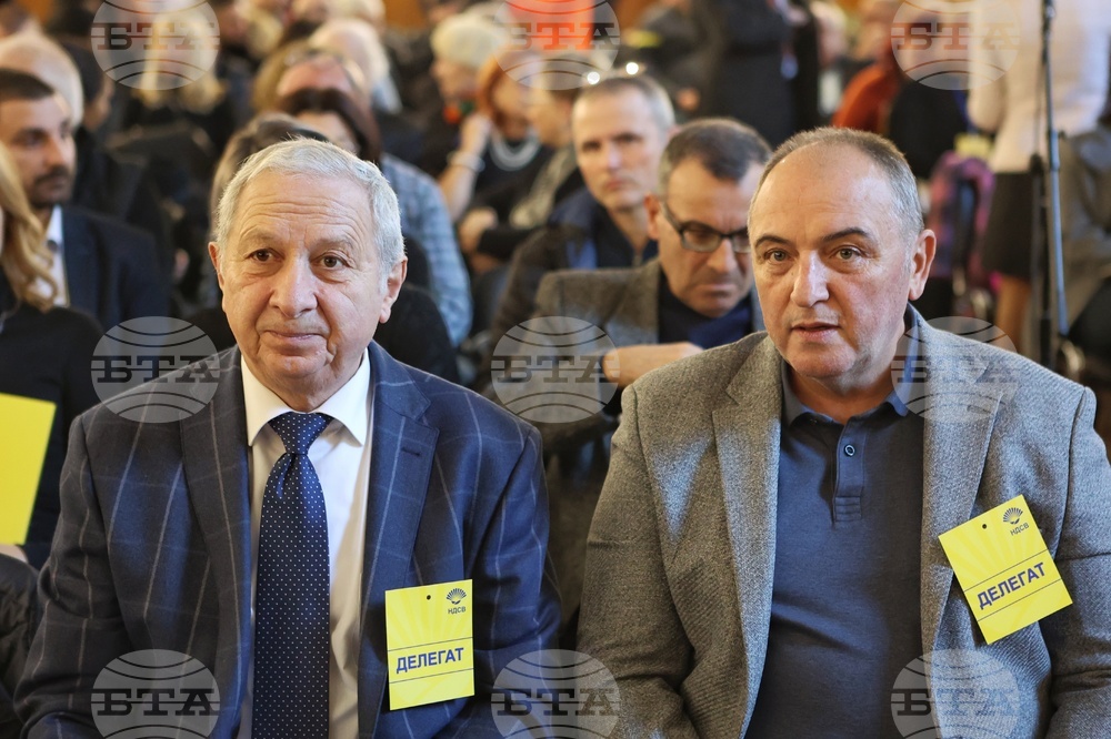 НДСВ - девети редовен конгрес