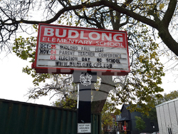 САЩ - Чикаго - избори за президент и Конгрес