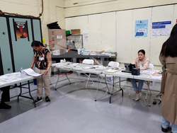 САЩ - Чикаго - избори за президент и Конгрес