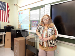 САЩ - Чикаго - избори за президент и Конгрес