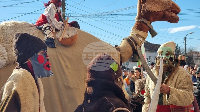 Обичаят Камилата ще бъде пресъздаден в ловешкото село Йоглав