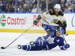 Bruins Maple Leafs Hockey