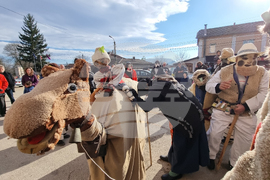 Село Йоглав - ритуал „Камилата“