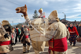 Село Йоглав - ритуал „Камилата“