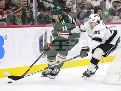 Kings Wild Hockey