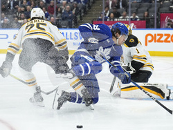 Bruins Maple Leafs Hockey