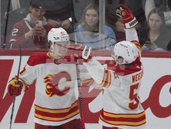 Flames Canadiens Hockey
