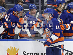 Penguins Islanders Hockey