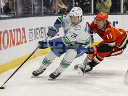 Canucks Ducks Hockey