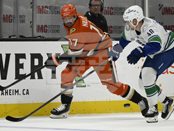 Canucks Ducks Hockey