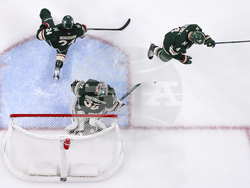 Kings Wild Hockey