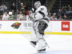 Kings Wild Hockey