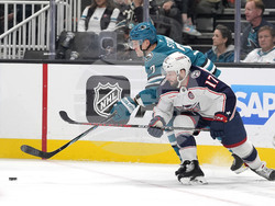Blue Jackets Sharks Hockey
