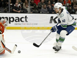 Canucks Ducks Hockey