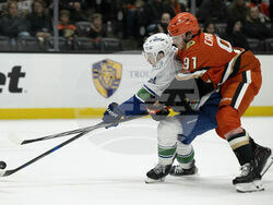 Canucks Ducks Hockey