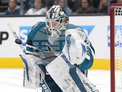 Blue Jackets Sharks Hockey