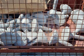 Ден 26 - кораб - Св. св. Кирил и Методий - НИК 421 - Антарктида - понтонен сал