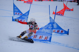 Банско - сноуборд - финали