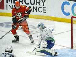Canucks Ducks Hockey