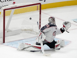 Blue Jackets Sharks Hockey