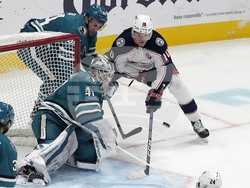 Blue Jackets Sharks Hockey