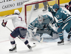 Blue Jackets Sharks Hockey