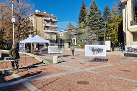 Шумен - „Сухопътни войски - ние сме там, където има нужда от нас“ - изложба