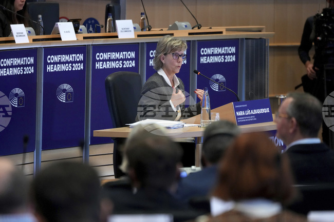 Държави от ЕС поставят националните си интереси във финансовите пазари над общите цели на ЕС и води до неравнопоставеност, заяви еврокомисар Мария Луис Албакърки