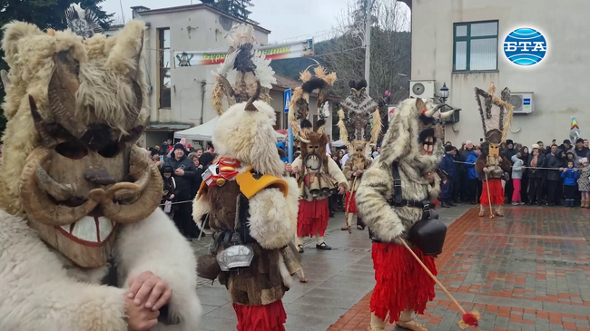 Над 1000 сурвакари се включиха в Общинския фестивал в Брезник, който беше открит днес