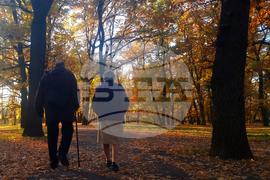 Есен - парк - хубаво време