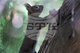 Варна - Морска градина - ежедневие